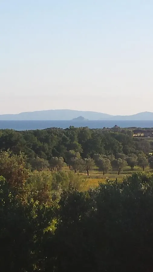 Agriturismo Tenuta Di Vignale Vignale  Apartamento