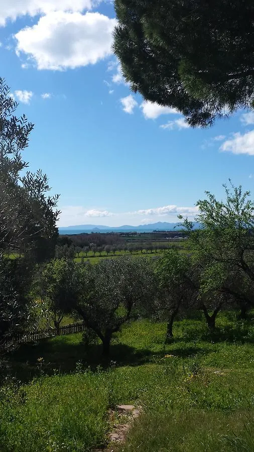 Agriturismo Tenuta Di Vignale Vignale